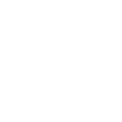 icon url